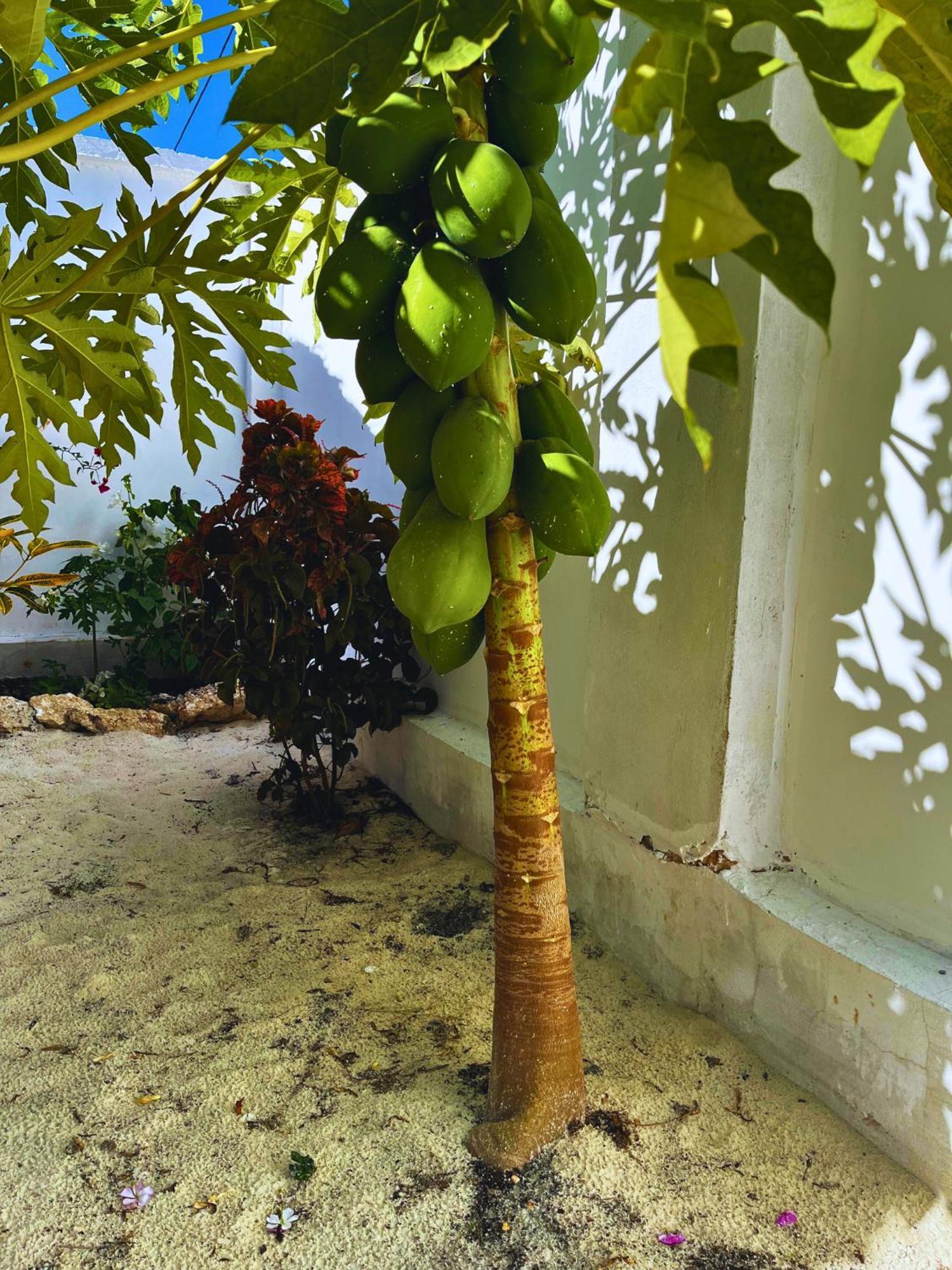 Sabali Lodge, Zanzibar 江比阿 外观 照片